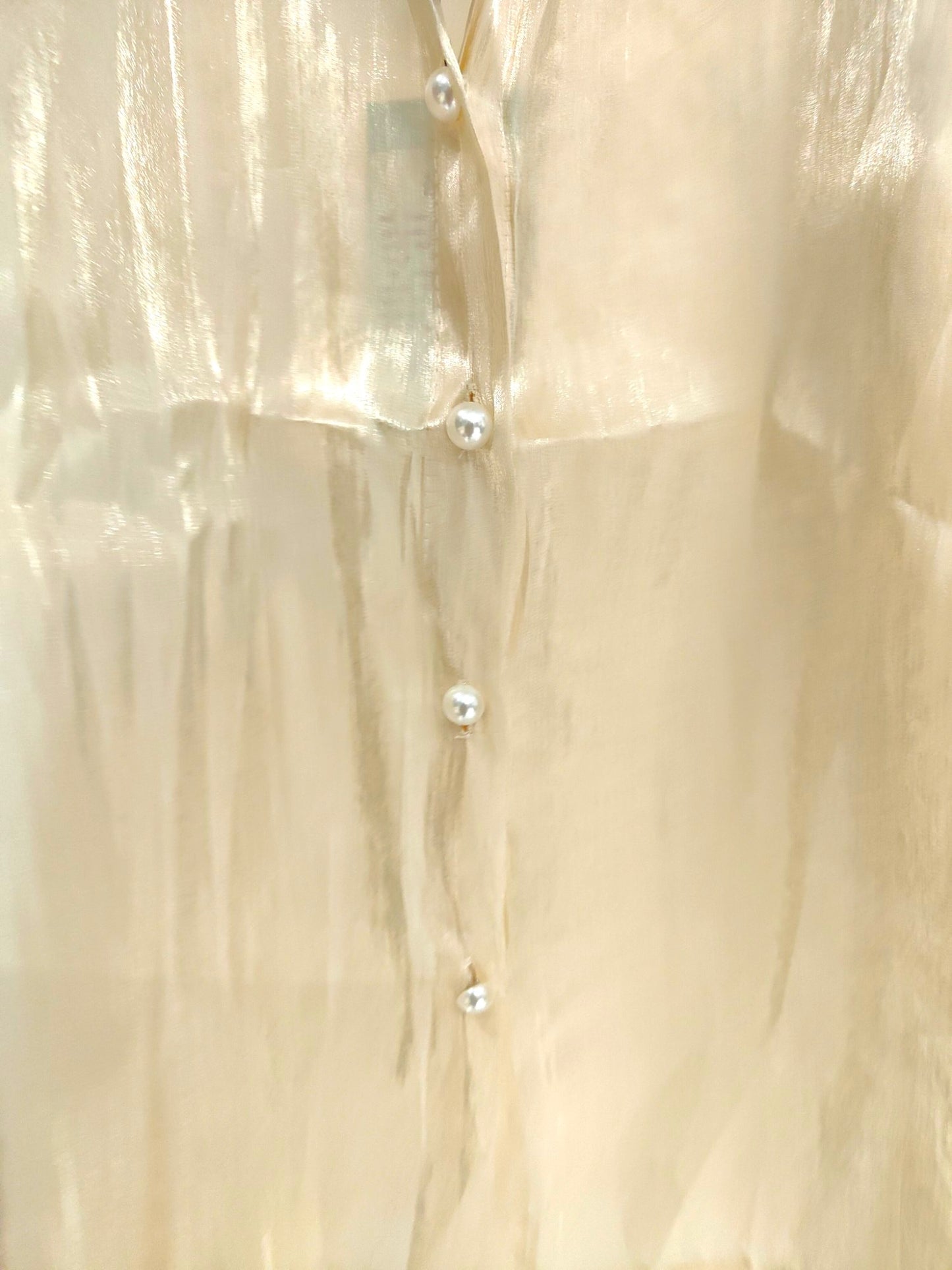 Riza Glass Organza Shirt - Offwhite