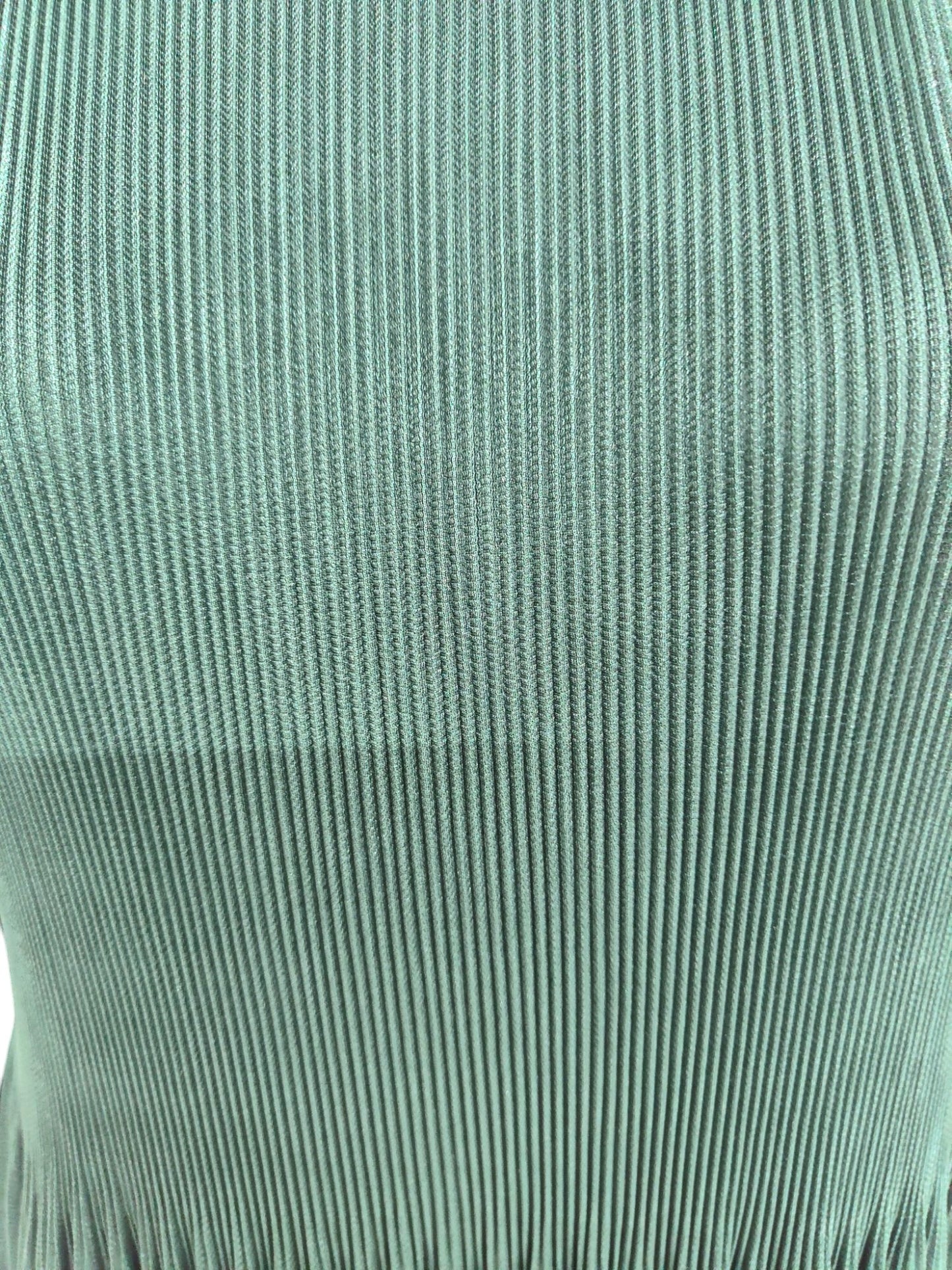 Miyake pleated Fringed Maxi Dress - Green